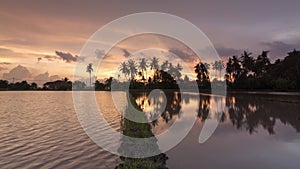 Timelapse sunset hour of row coconut tree with reflection in water.