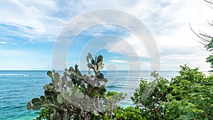 Timelapse of tropical island Bali, Indonesia, Asia. View from the cliff, sunny day, amazing clouds. Cactus on the front.