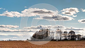 Timelapse video of the movement of clouds over a rural field and a small area of forest. Fast-moving clouds