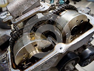 Timing Chain of a Gasoline Internal Combustion Engine