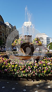 Timisoara