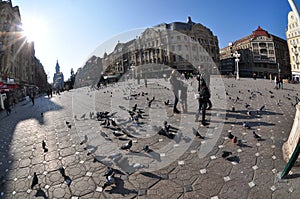 Timisoara Opera Square, Romania