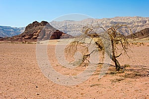 Timna park