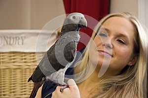 Timneh African Grey
