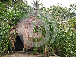 Timorese Traditional house photo