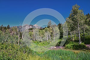 Timpanogos back hiking Salamander Flat Willow Hollow Snow Gauging Loop trail Uinta Wasatch Cache National Forest Utah photo