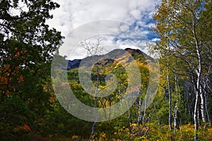 Timpanogos back panoramic views, Willow Hollow Ridge, Pine Hollow Trail hiking trail Wasatch Rocky Mountains, Utah. USA