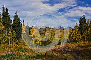Timpanogos back panoramic views, Willow Hollow Ridge, Pine Hollow Trail hiking trail Wasatch Rocky Mountains, Utah. USA