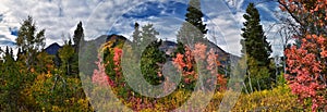 Timpanogos back panoramic views, Willow Hollow Ridge, Pine Hollow Trail hiking trail Wasatch Rocky Mountains, Utah. USA