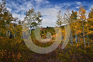 Timpanogos back panoramic views, Willow Hollow Ridge, Pine Hollow Trail hiking trail Wasatch Rocky Mountains, Utah. USA