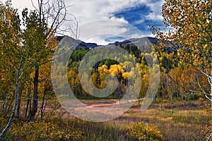 Timpanogos back panoramic views, Willow Hollow Ridge, Pine Hollow Trail hiking trail Wasatch Rocky Mountains, Utah. USA