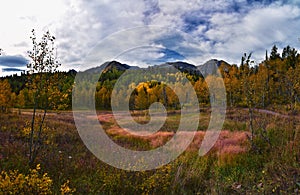 Timpanogos back panoramic views, Willow Hollow Ridge, Pine Hollow Trail hiking trail Wasatch Rocky Mountains, Utah. USA