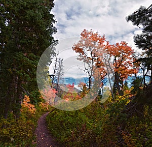 Timpanogos back Willow Hollow Ridge, Pine Hollow Trail hiking trail view Wasatch Rocky Mountains, Utah.