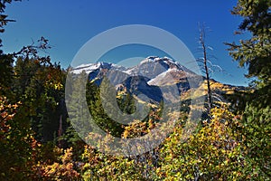 Timpanogos Mountain Peak from Willow Pine Hollow Ridge Trail hiking view Wasatch Rocky Mountains, Utah. USA