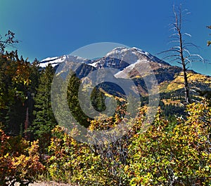 Timpanogos Mountain Peak from Willow Pine Hollow Ridge Trail hiking view Wasatch Rocky Mountains, Utah. USA