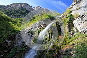 Timpanogos Waterfall