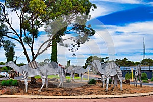 The Tin Camel Roundabout in Norseman, Western Australia,