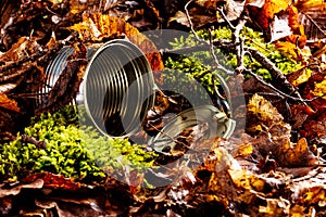 Tin can waste on forest floor closeup