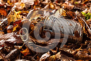 Tin can waste on forest floor closeup