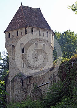 The Tin Coaters Tower in Sighisoara photo