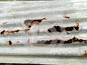 a tin roof perforated and slightly rusty