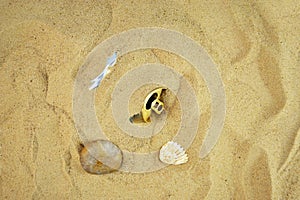 Tin waste on the beach