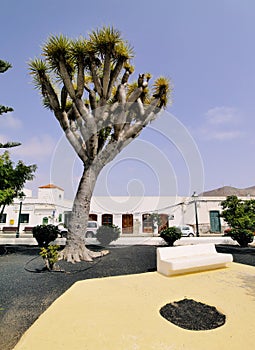 Tinajo, Lanzarote, Canary Islands, Spain photo