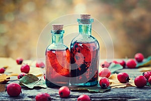 Tincture bottles of hawthorn berries and red thorn apples