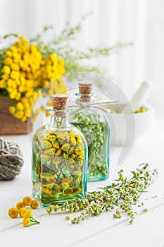 Tincture bottles of tansy and tarragon.