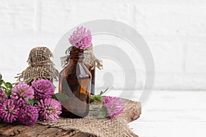 tincture of clover flowers (Trifolium) in a glass bottle. Traditional medicine, the collection of useful herbs