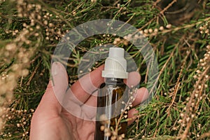 tincture in hand in heather.natural pharmacy. homeopathic remedies.Treatment with herbal remedies.Herbs and flowers for