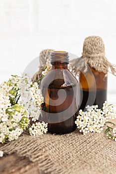 Tincture of leaves and flowers of yarrow officinalis (Achillea) in a glass bottle. Traditional medicine, the