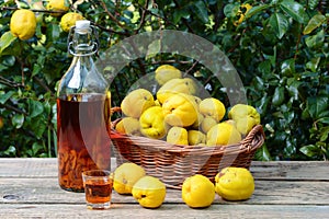 Tincture of quince and fruit on a wooden table. photo