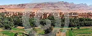 Tinerhir Oasis, Morocco.