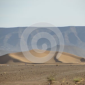 Tinfou Dunes Zagora Morocco