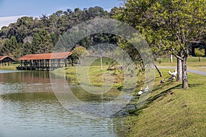 Tingui Park - Curitiba, Parana, Brazil photo