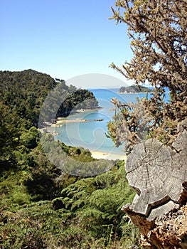 Tinline Bay, Abel Tasman National park