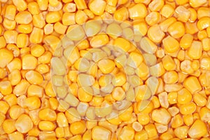 Tinned whole kernel corn background