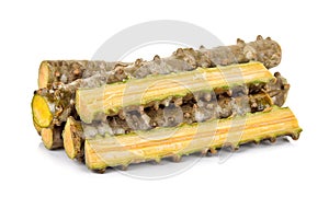 Tinospora cordifolia herb isolated on white background