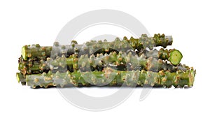 Tinospora cordifolia herb on white background