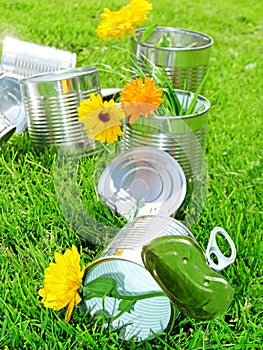 Tins in grass