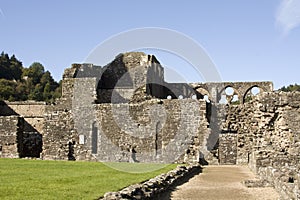 Tintern abbey photo