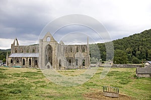 Tintern Abbey photo