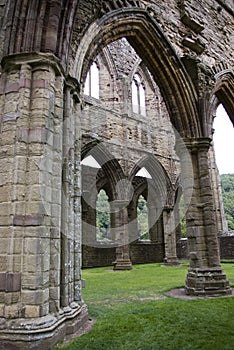 Tintern Abbey photo