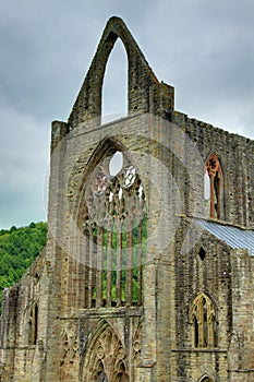 Tintern Abbey photo