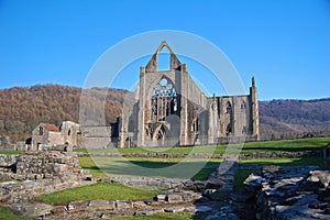 Tintern abbey photo