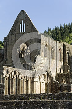 TINTERN ABBEY photo