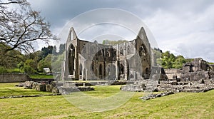 Tintern Abbey photo