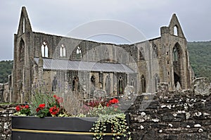 Tintern Abbey