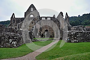 Tintern Abbey